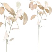 PTMD Leaves Eucalyptus Kunsttak - 38 x 18 x 74 cm - Velvet - Crème