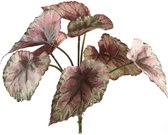 PTMD Leaves Plant Begonia Kunsttak - 17 x 22 x 33 cm - Paars/groen