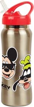 Disney Thermosfles Mickey Mouse Junior 580 Ml Rvs Zilver