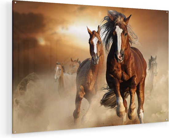Artaza Glasschilderij - Wilde Paarden In Het Zand - 120x80 - Groot - Plexiglas Schilderij - Foto op Glas