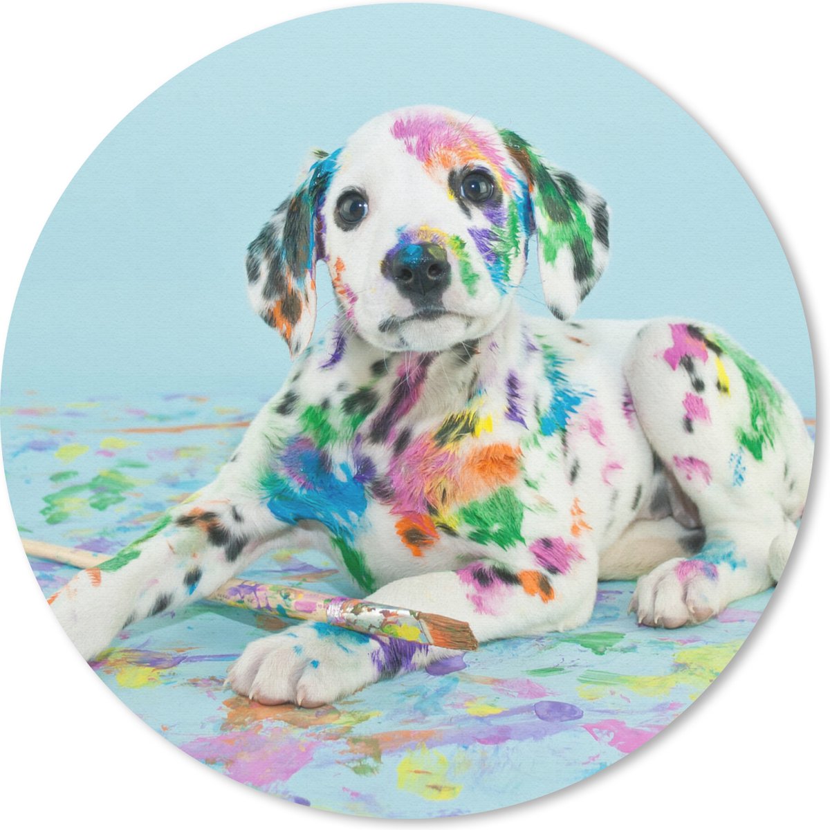 Muismat rond 50x50 cm - Mousepad Hond - Verf - Blauw - Ronde muismatten
