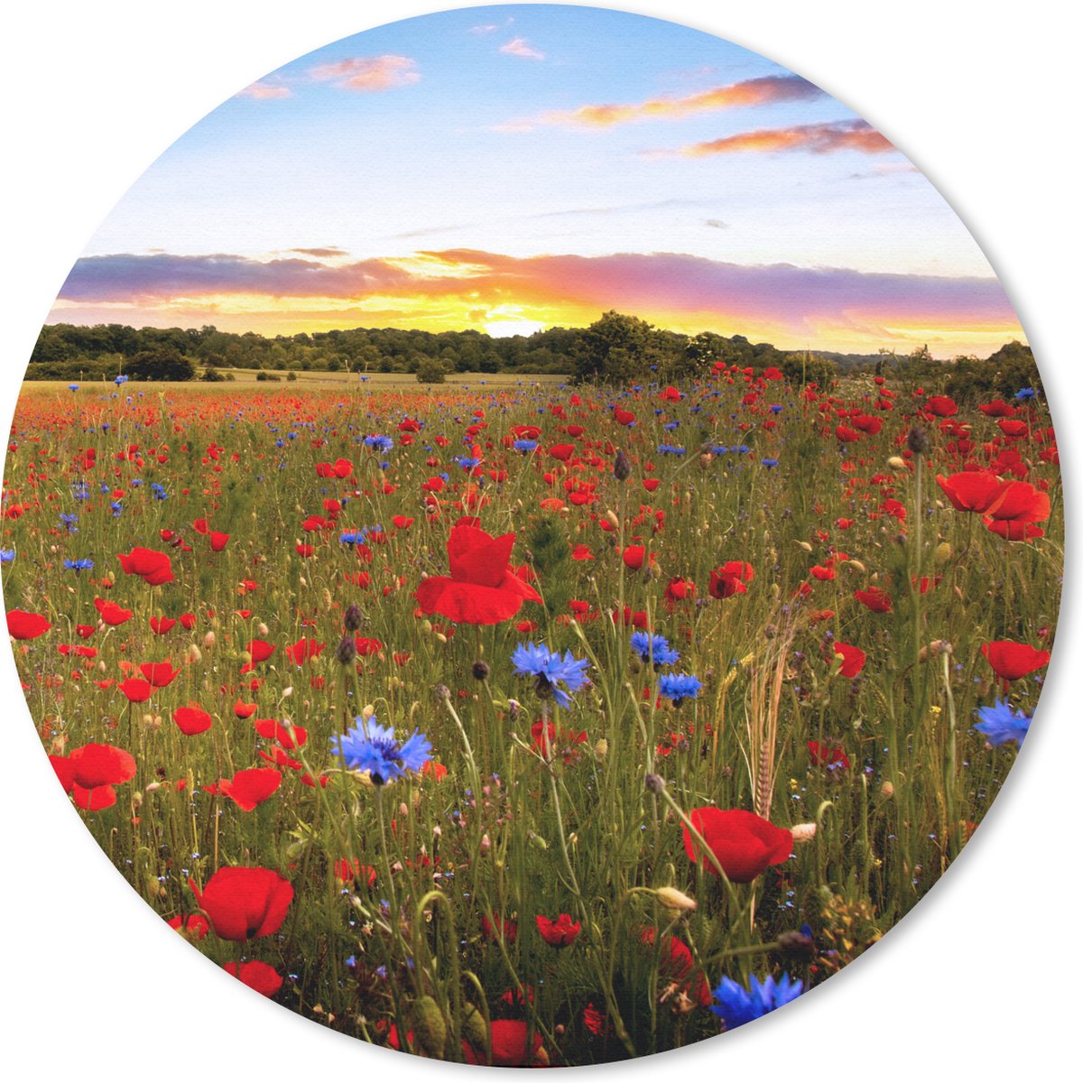 Muismat rond 20x20 cm - Mousepad Bloemenweide - Klaprozen - Rood - Ronde muismatten