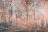 Fotobehang - Colorful Forest Abstract 375x250cm - Vliesbehang