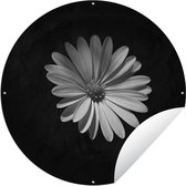 Cercle de jardin Une marguerite blanche sur fond noir - 120x120 cm - Affiche de jardin ronde - Extérieur - XXL