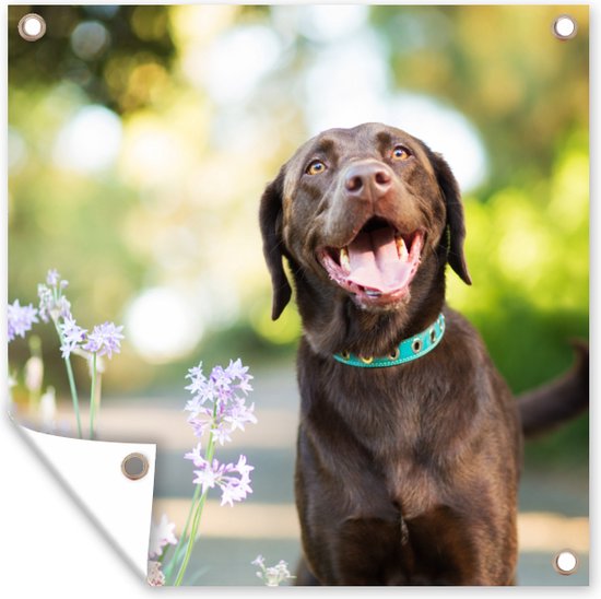 Tuinposters Een Labrador Retriever met mooie bloemen - 50x50 cm - Tuindoek - Buitenposter