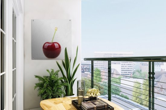 Affiche de jardin Cerisier solitaire avec une tige verte 50x50 cm - petit - Toile de jardin / Toile d'extérieur / Peintures pour l'extérieur (décoration de jardin)