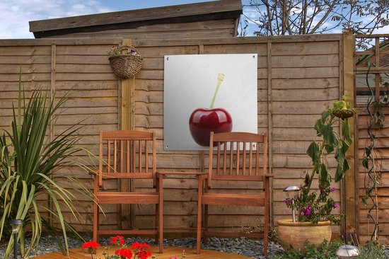 Affiche de jardin Cerisier solitaire avec une tige verte 50x50 cm - petit - Toile de jardin / Toile d'extérieur / Peintures pour l'extérieur (décoration de jardin)