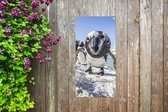 Tuinposter Close-up van een Pinguïn op Boulders Beach - 40x80 cm - Wanddecoratie Buiten - Tuinposter - Tuindoek - Schuttingposter - Tuinschilderij
