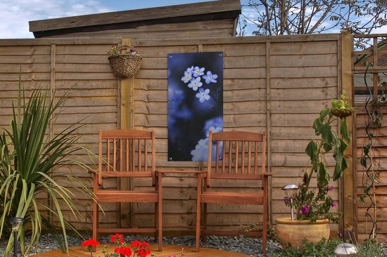 Affiche de jardin Gros plan d'un myosotis - 30x60 cm