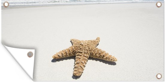 Voile de plage Banque d'images vectorielles - Alamy