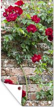 Schuttingposter Klimplant met rode bloemen op een stenen muur - 100x200 cm - Tuindoek
