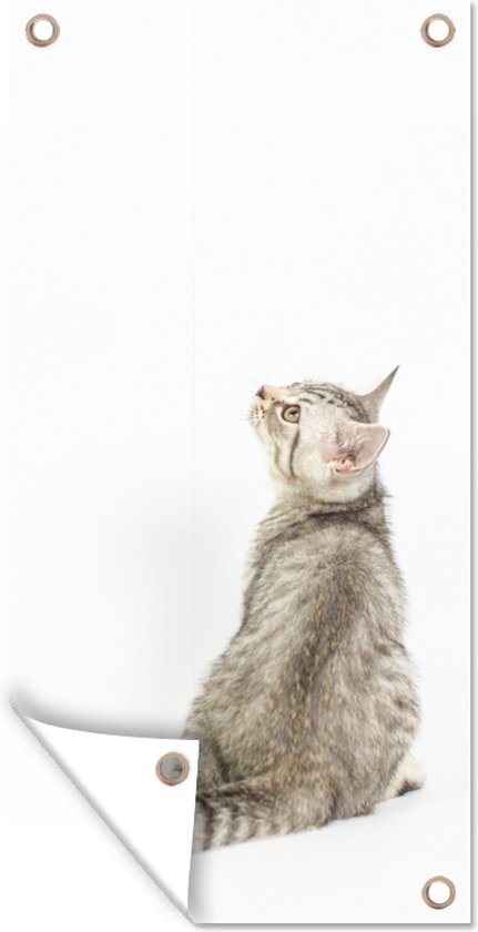 Poster de jardin Chat - Animaux domestiques - Fourrure - 40x80 cm - Décoration murale Extérieur - Poster de jardin - Toile de jardin - Poster de clôture - Tableau de jardin