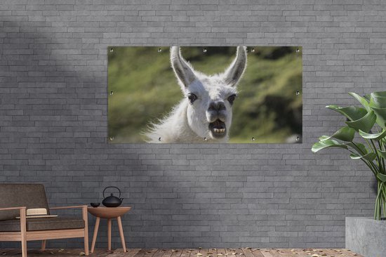 Affiche de clôture Lama - Drôle - Enfants - Garçons - Filles - Kids - 200x100 cm - Toile de jardin