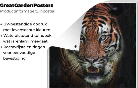 Tuinposters Tijger - Kop - Zwart - 50x50 cm - Tuindoek - Buitenposter