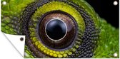 Poster jardin Yeux - Reptile - Vert - 80x40 cm - Décoration murale extérieur - Poster jardin - Toile jardin - Poster clôture - Tableau jardin