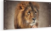 Artaza Glasschilderij - Leeuw In Pak - Leeuwenkop - 60x30 - Klein - Plexiglas Schilderij - Foto op Glas