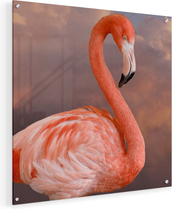 Artaza Glasschilderij - Roze Flamingo in de Wolken - 50x50 - Plexiglas Schilderij - Foto op Glas