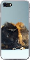 Geschikt voor iPhone SE 2020 hoesje - Twee kleine cavia's - Siliconen Telefoonhoesje