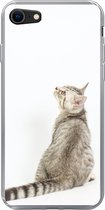 Geschikt voor iPhone SE 2020 hoesje - Kat - Huisdieren - Vacht - Siliconen Telefoonhoesje