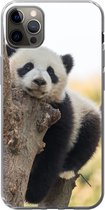 Geschikt voor iPhone 13 Pro Max hoesje - Panda - Boom - Licht - Siliconen Telefoonhoesje