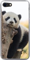 Geschikt voor iPhone 8 hoesje - Panda - Boom - Licht - Siliconen Telefoonhoesje