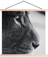 Affiche scolaire - Lion profil animal en noir et blanc - 90x90 cm - Lattes vierges