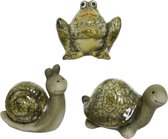 Dier terracotta kikker,slak of schildpad (1 stuk) assorti