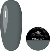 Korneliya Liquid Gel Mr.Grey