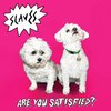 Slaves - Are You Satisfied? (LP)