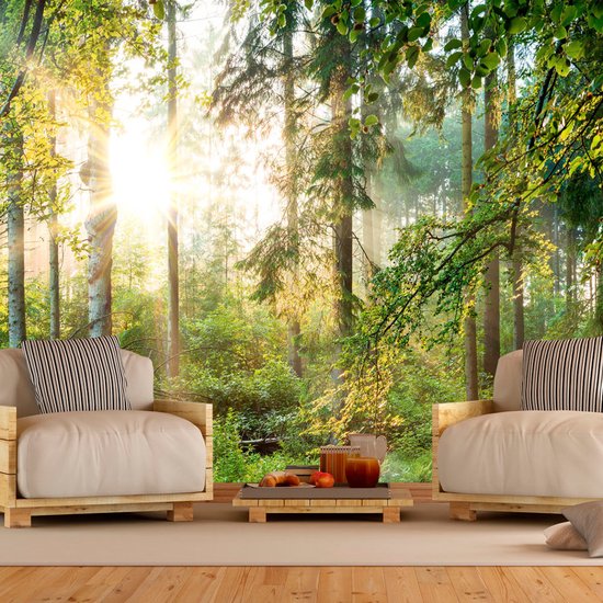 Papier peint représentant un paysage forestier au lever du soleil, avec la lumière du soleil filtrant à travers les arbres. Deux fauteuils et une table basse avec des fruits sont au premier plan.