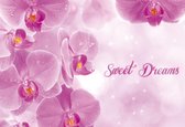 Flowers Orchids Pink Photo Wallcovering