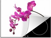 KitchenYeah® Inductie beschermer 60x52 cm - Orchidee tegen witte achtergrond - Kookplaataccessoires - Afdekplaat voor kookplaat - Inductiebeschermer - Inductiemat - Inductieplaat mat