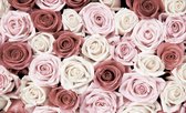 Roses Flowers Pink White Red Photo Wallcovering