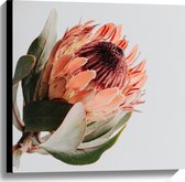 Canvas - Bloem - Bladeren - Kleuren - Natuur - 60x60 cm Foto op Canvas Schilderij (Wanddecoratie op Canvas)