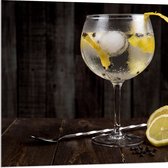Acrylglas - Gin Tonic met Citroenschijfjes - 80x80 cm Foto op Acrylglas (Met Ophangsysteem)