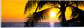 Acrylglas - Tropische Zonsondergang bij de Zee - 60x20 cm Foto op Acrylglas (Met Ophangsysteem)