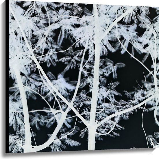 Canvas - Takken - Boom - Bladeren - Natuur - Zwart - Wit - 100x100 cm Foto op Canvas Schilderij (Wanddecoratie op Canvas)