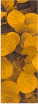 Poster Glanzend – Planten - Bladeren - Geel - 20x60 cm Foto op Posterpapier met Glanzende Afwerking