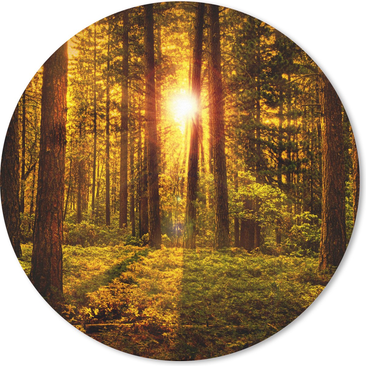 Muismat rond 50x50 cm - Mousepad Bos - Zon - Bomen - Natuur - Zonsondergang - Ronde muismatten