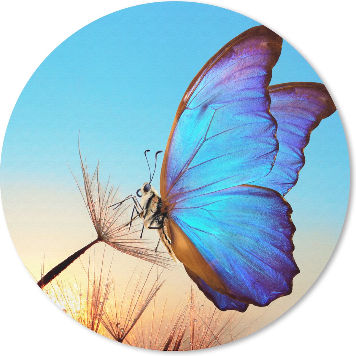 Muismat rond 40x40 cm - Mousepad Vlinder - Paardebloem - Blauw - Ronde muismatten