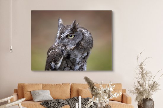 Gros plan d'un petit hibou sur toile 160x120 cm - Tirage photo sur toile (Décoration murale salon / chambre) XXL / Groot format!