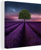 Tableau Peinture Lavande - Arbre - Violet - 20x20 cm - Décoration murale