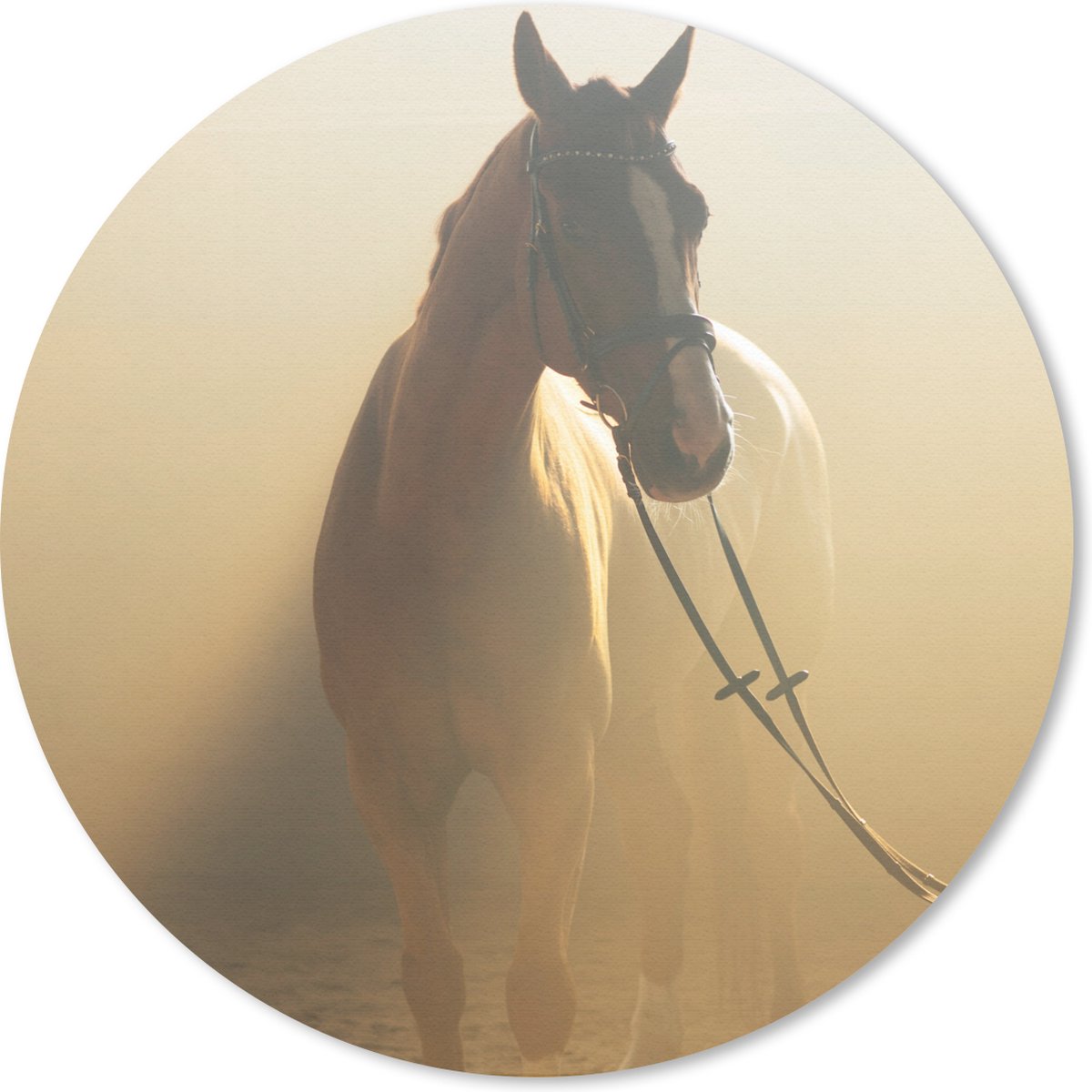 Muismat rond 30x30 cm - Mousepad Paard - Licht - Zand - Ronde muismatten