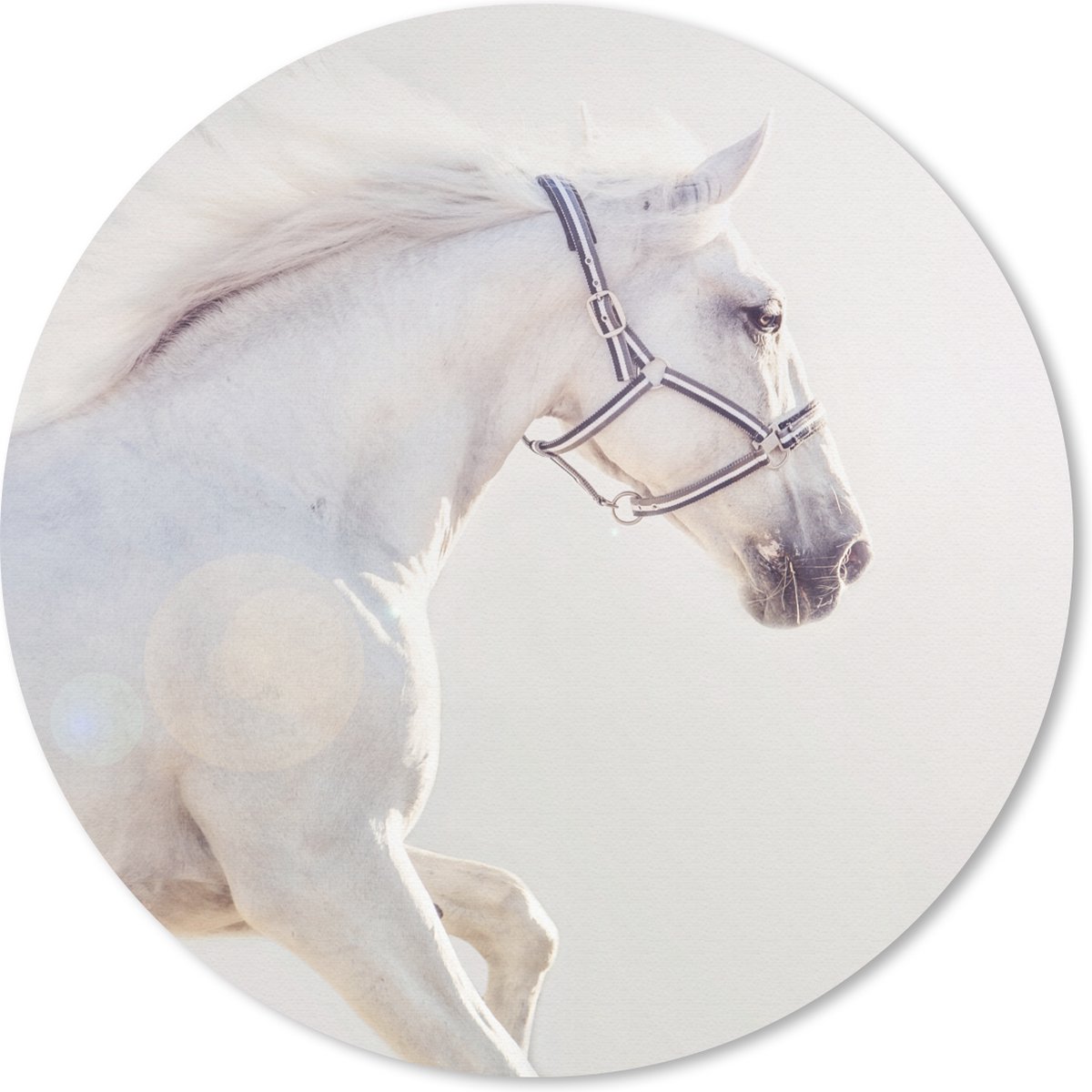 Muismat rond 20x20 cm - Mousepad Paard - Wit - Manen - Ronde muismatten