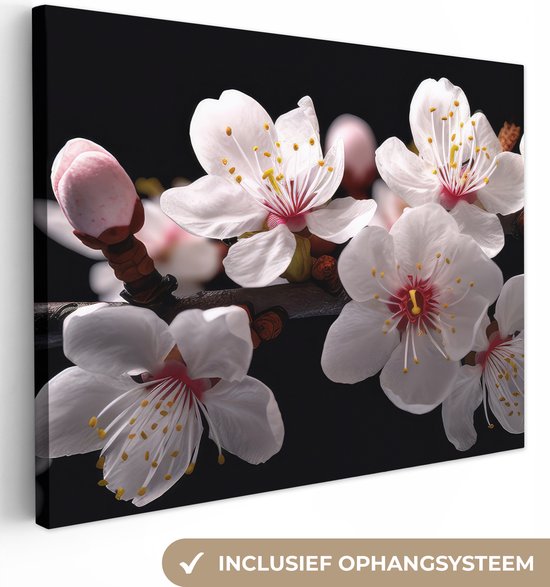 Tableau sur toile Sakura - Fleurs - Branches fleuries - Botanique - Wit - 80x60 cm - Décoration murale