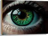 Hout - Close-up van Prachtig Groenkleurig Oog van Vrouw - 80x60 cm - 9 mm dik - Foto op Hout (Met Ophangsysteem)