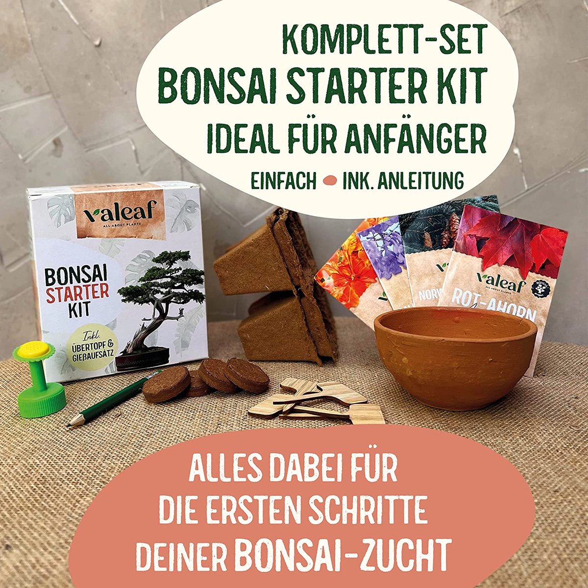 Valeaf Bonsai Starterset Deluxe - Kweekset met 4 soorten zaden &  accessoires | bol