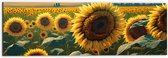 Dibond - Close-up van Zonnebloemen Omringd door Zonnebloemen in een Zonnebloemenveld - 60x20 cm Foto op Aluminium (Met Ophangsysteem)