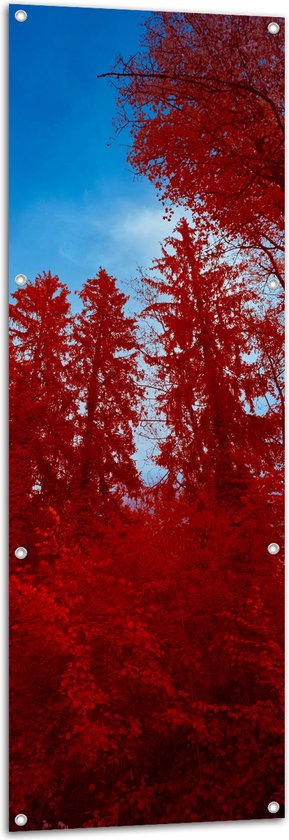 Tuinposter – Onderaanzicht - Bomen - Rood - Lucht - 50x150 cm Foto op Tuinposter (wanddecoratie voor buiten en binnen)