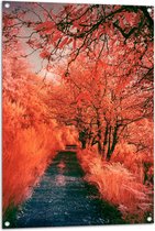 Tuinposter – Pad - Bomen - Bossen - Planten - Kleuren - Roze - Oranje - 70x105 cm Foto op Tuinposter (wanddecoratie voor buiten en binnen)